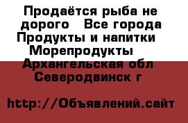 Продаётся рыба не дорого - Все города Продукты и напитки » Морепродукты   . Архангельская обл.,Северодвинск г.